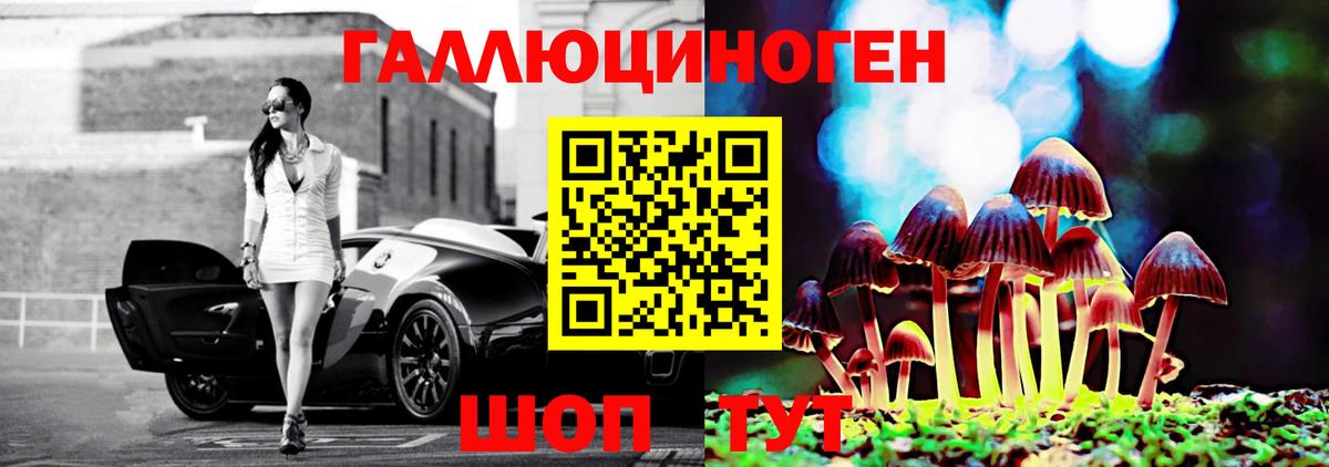 Псилоцибиновые грибы Psilocybine cubensis Белгород